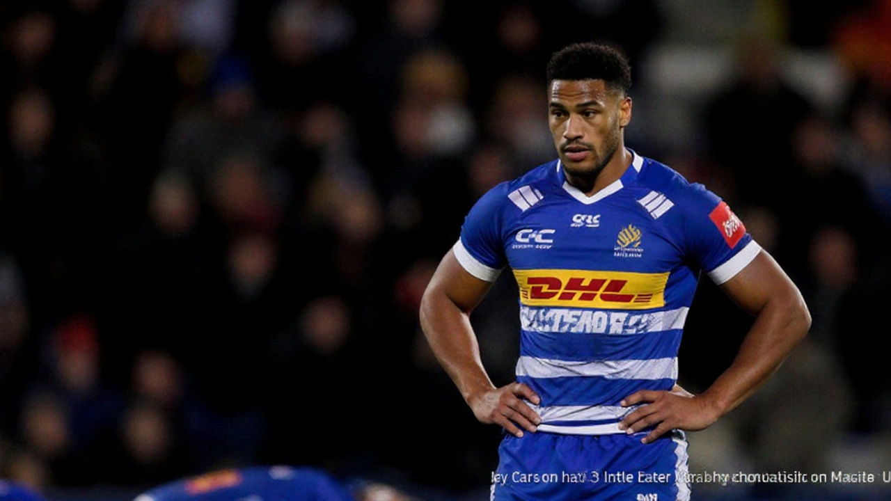 Stormers Rebrand: New Logo, Fresh Identity and ‘In It Together’ Mantra