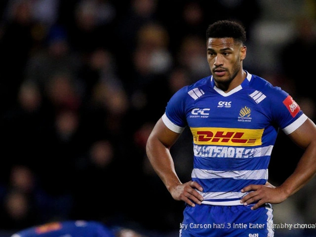 Stormers Rebrand: New Logo, Fresh Identity and ‘In It Together’ Mantra